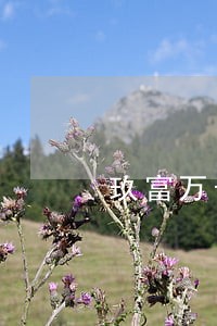 玖富万卡逾期7个小时 玖富万卡逾期7个小时