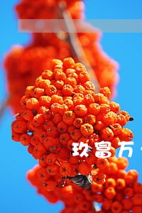 玖富万卡逾期7天久吗 玖富万卡逾期7天久吗