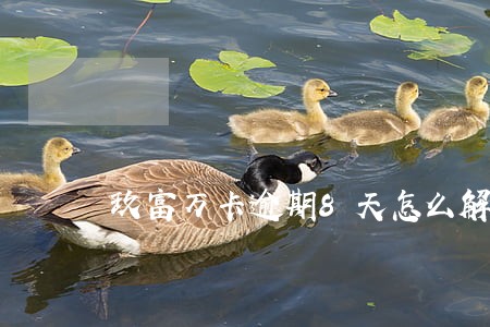 玖富万卡逾期8天怎么解决 玖富万卡逾期8天怎么解决