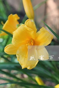 玖富万卡逾期一两天没事吧 玖富万卡逾期一两天没事吧