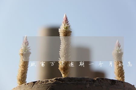 玖富万卡逾期一个月会怎样 玖富万卡逾期一个月会怎样