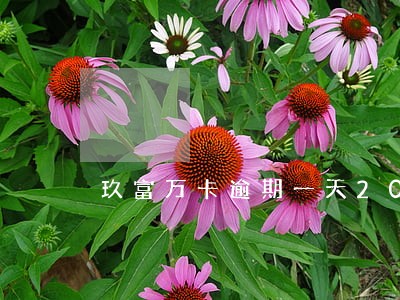 玖富万卡逾期一天200 玖富万卡逾期一天200