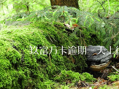 玖富万卡逾期一天上征信系统么 玖富万卡逾期一天上征信系统么