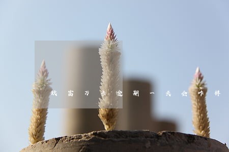 玖富万卡逾期一天会咋样 玖富万卡逾期一天会咋样