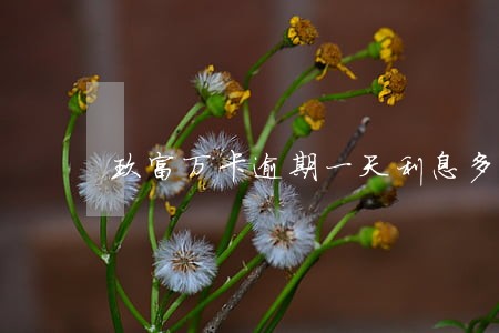 玖富万卡逾期一天利息多少 玖富万卡逾期一天利息多少