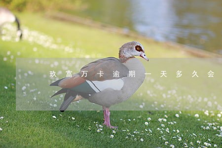 玖富万卡逾期一天多久会上征信 玖富万卡逾期一天多久会上征信