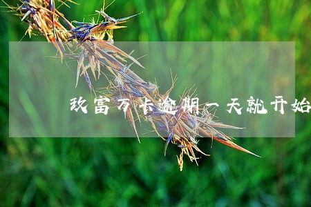 玖富万卡逾期一天就开始催收 玖富万卡逾期一天就开始催收