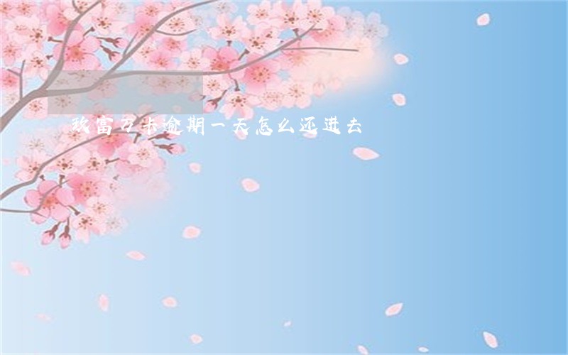 玖富万卡逾期一天怎么还进去 玖富万卡逾期一天怎么还进去