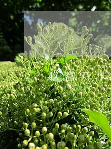 玖富万卡逾期一天打联系人 玖富万卡逾期一天打联系人