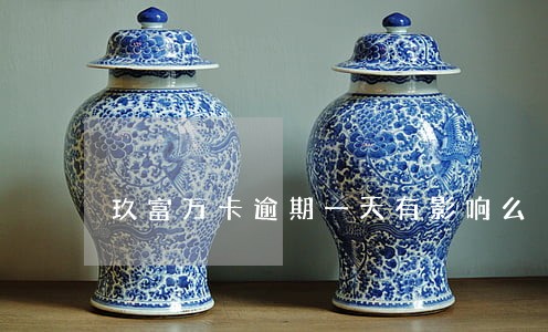 玖富万卡逾期一天有影响么