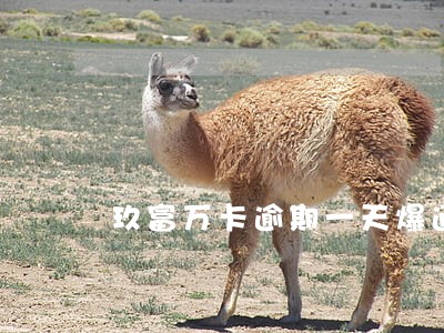 玖富万卡逾期一天爆通讯录 玖富万卡逾期一天爆通讯录