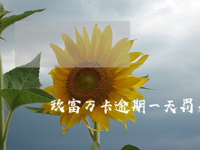 玖富万卡逾期一天罚多少钱