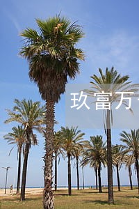 玖富万卡逾期一天费用高吗 玖富万卡逾期一天费用高吗