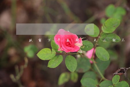 玖富万卡逾期一天还能不能借 玖富万卡逾期一天还能不能借