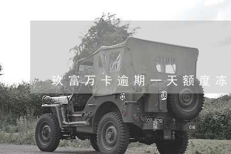 玖富万卡逾期一天额度冻结 玖富万卡逾期一天额度冻结