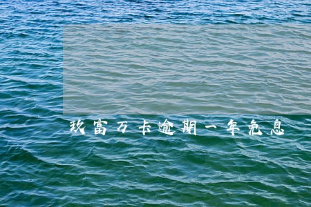 玖富万卡逾期一年免息