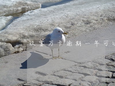 玖富万卡逾期一年可以还吗 玖富万卡逾期一年可以还吗