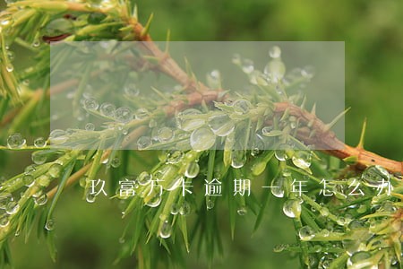 玖富万卡逾期一年怎么办