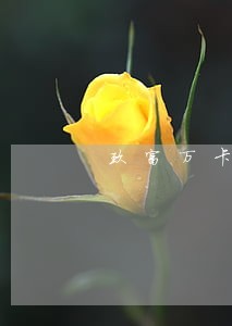 玖富万卡逾期三天会上征信吗 玖富万卡逾期三天会上征信吗