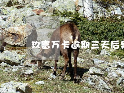 玖富万卡逾期三天后果