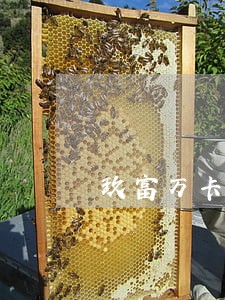 玖富万卡逾期三天有事没 玖富万卡逾期三天有事没