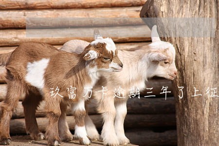 玖富万卡逾期三年了上征信 玖富万卡逾期三年了上征信