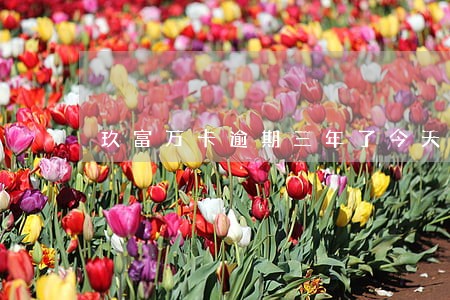 玖富万卡逾期三年了今天收到短信 玖富万卡逾期三年了今天收到短信