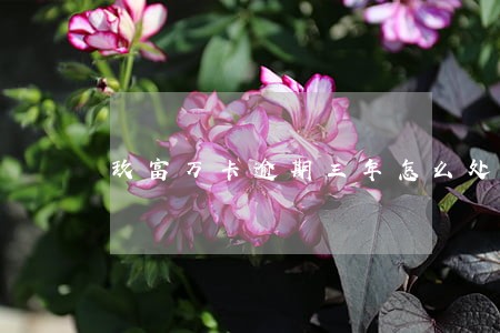 玖富万卡逾期三年怎么处理 玖富万卡逾期三年怎么处理