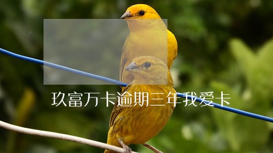 玖富万卡逾期三年我爱卡 玖富万卡逾期三年我爱卡