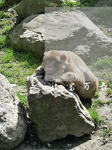 玖富万卡逾期上征信了怎么还 玖富万卡逾期上征信了怎么还