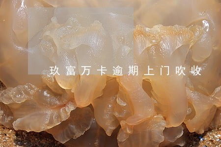 玖富万卡逾期上门吹收 玖富万卡逾期上门吹收