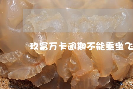 玖富万卡逾期不能乘坐飞机吗 玖富万卡逾期不能乘坐飞机吗