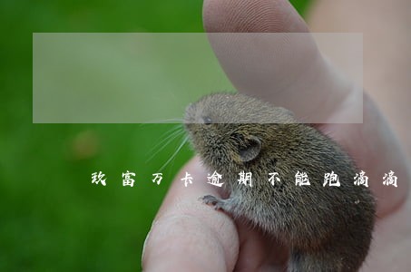 玖富万卡逾期不能跑滴滴吗 玖富万卡逾期不能跑滴滴吗