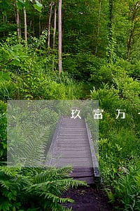 玖富万卡逾期不还什么后果 玖富万卡逾期不还什么后果
