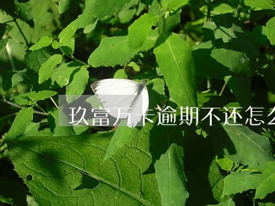 玖富万卡逾期不还怎么办 玖富万卡逾期不还怎么办