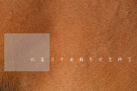 玖富万卡逾期不还怎样了