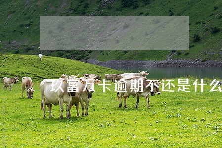 玖富万卡逾期不还是什么后果 玖富万卡逾期不还是什么后果