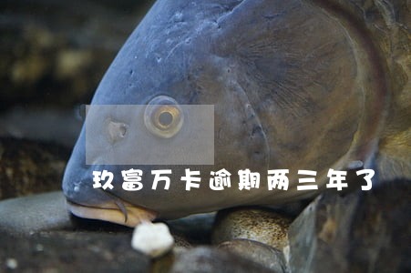 玖富万卡逾期两三年了 玖富万卡逾期两三年了