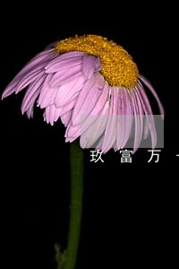 玖富万卡逾期两个月 玖富万卡逾期两个月