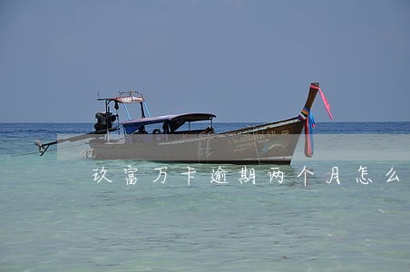 玖富万卡逾期两个月怎么办 玖富万卡逾期两个月怎么办