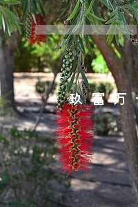玖富万卡逾期两天就打通讯录 玖富万卡逾期两天就打通讯录