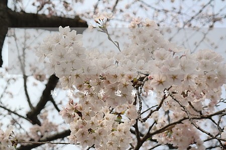 玖富万卡逾期两年 玖富万卡逾期两年