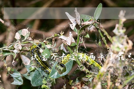 玖富万卡逾期两年了能只还本金 玖富万卡逾期两年了能只还本金