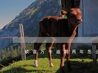玖富万卡逾期两年怎么没有通知