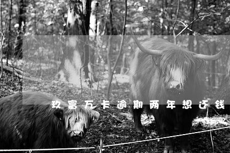 玖富万卡逾期两年想还钱 玖富万卡逾期两年想还钱