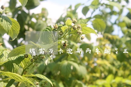 玖富万卡逾期两年翻了三倍 玖富万卡逾期两年翻了三倍