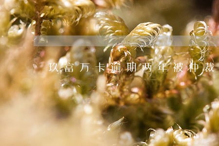 玖富万卡逾期两年被仲裁了 玖富万卡逾期两年被仲裁了