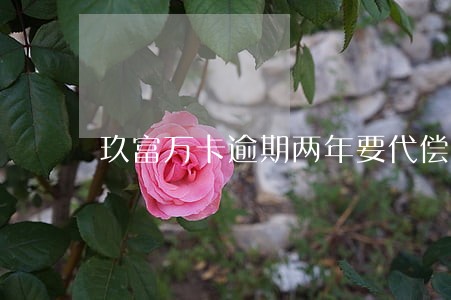玖富万卡逾期两年要代偿是啥意思 玖富万卡逾期两年要代偿是啥意思