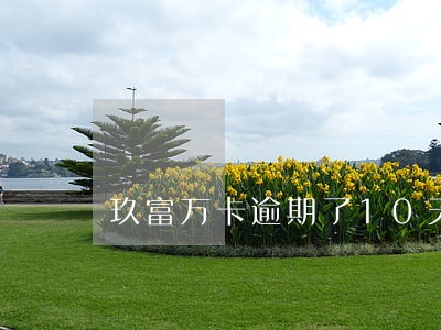 玖富万卡逾期了10天