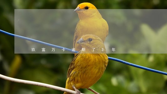 玖富万卡逾期了3年